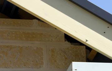 soffit repair Bussex